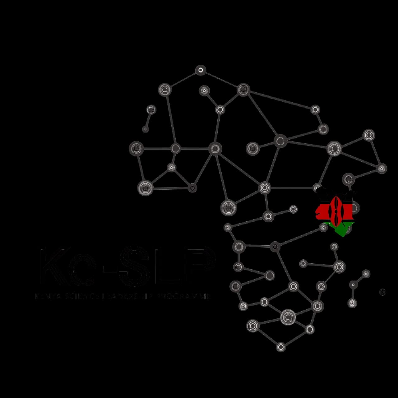 Kenya Science Leadership Programme